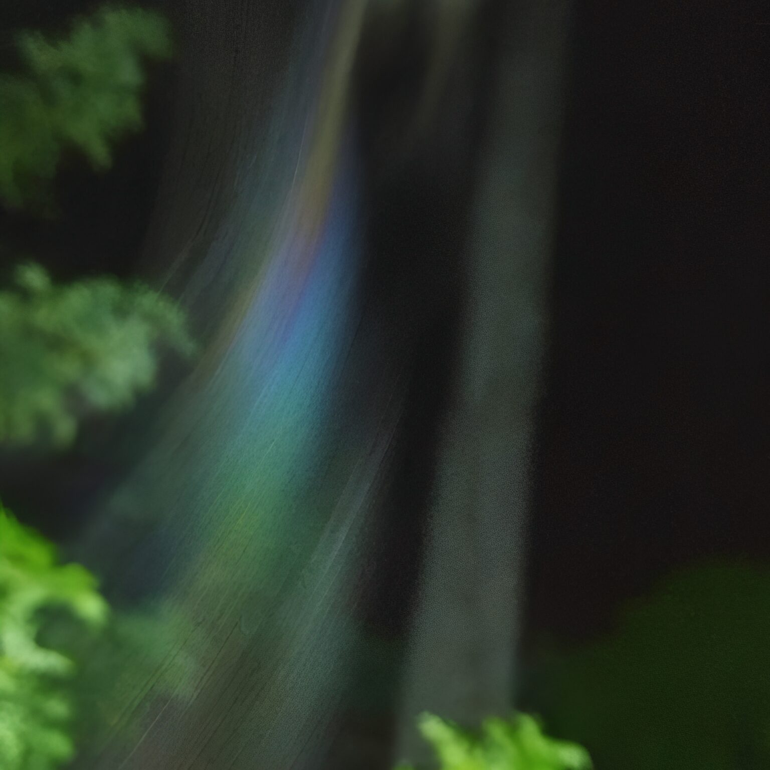 Colorful light streaks through forest at night
