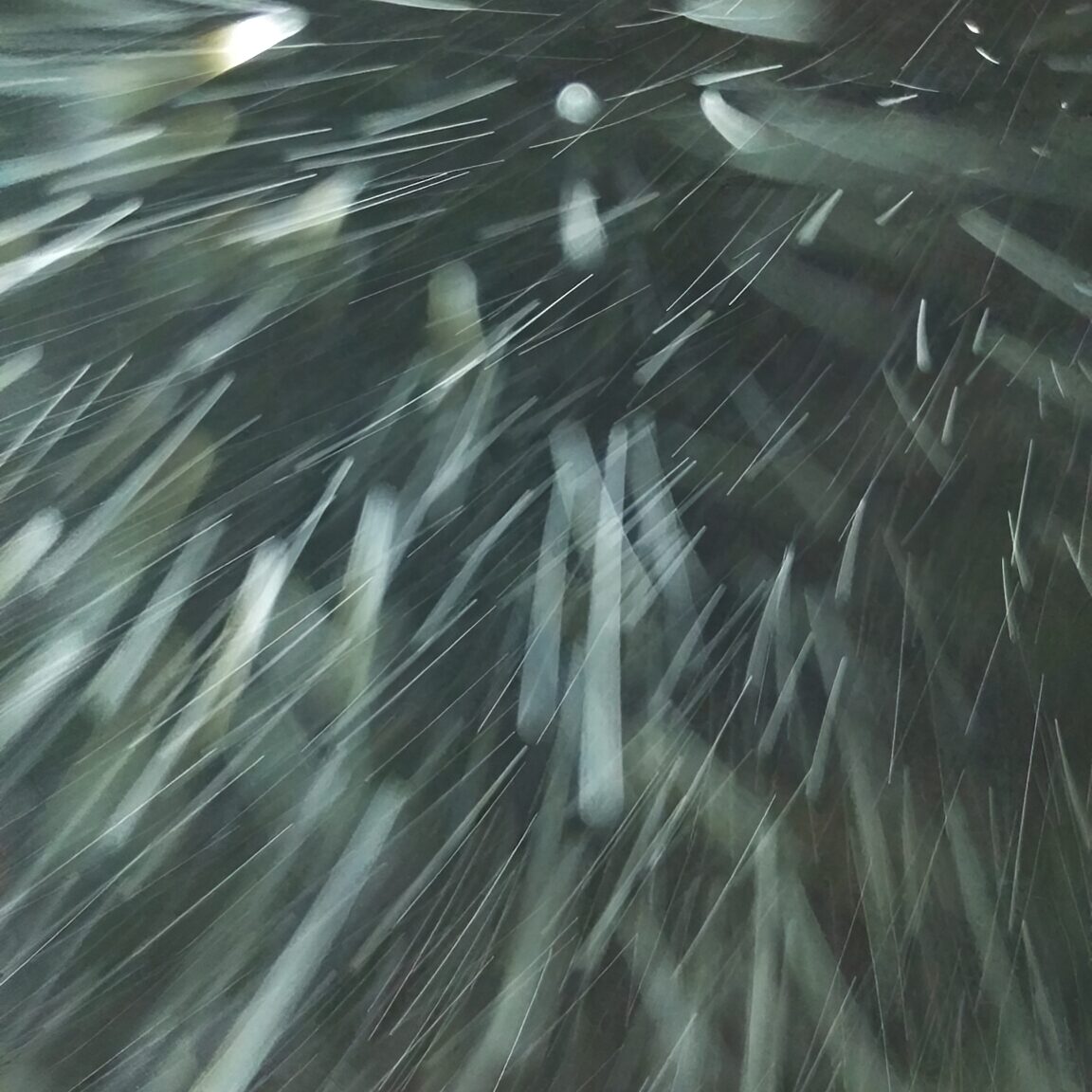motion-blurred falling snow at night